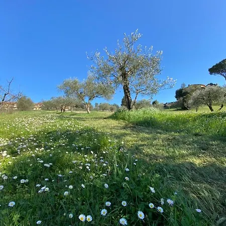 Campicuccioli Aparthotel Pelago
